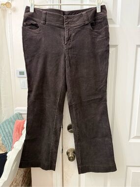 Venezia Dark Brown Corduroy Bootcut Pants